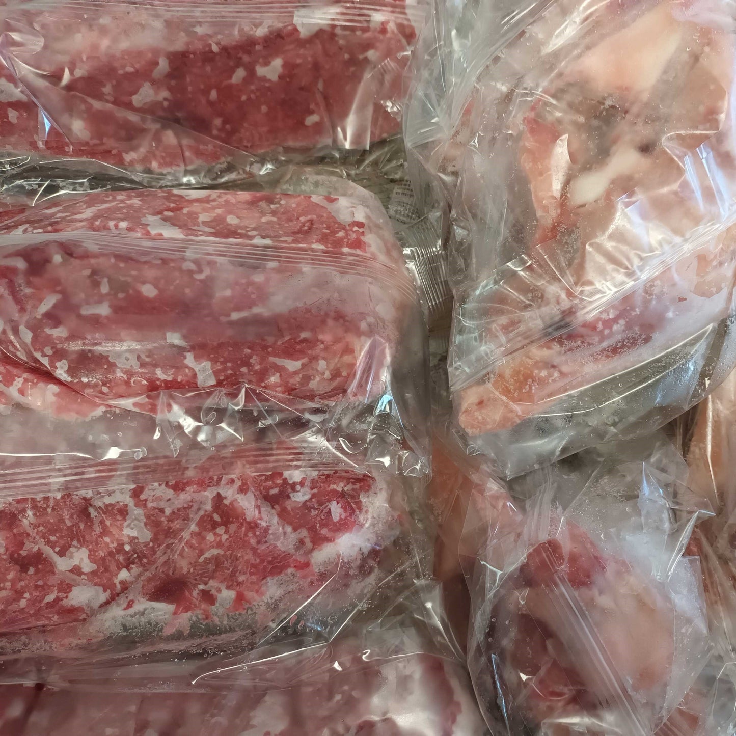 Premium Raw Dog Food - Best of Both