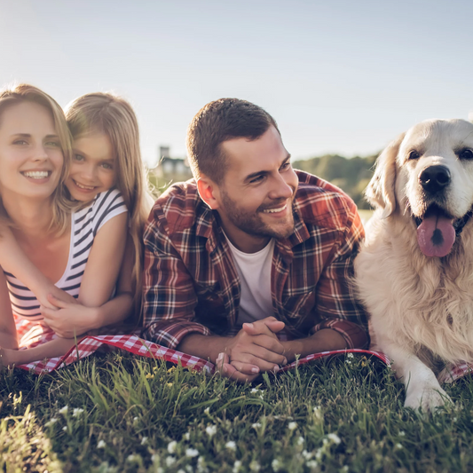 Raw Pet Food VIP Member - iFeedraw VIP (Capacity Currently Full)