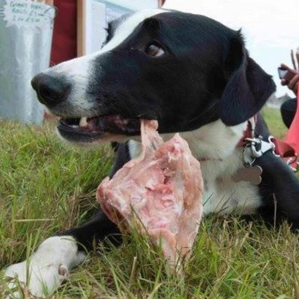 30 Chicken Carcasses For Dogs