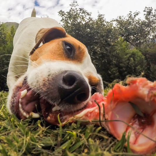 60 Chicken Carcasses For Dogs