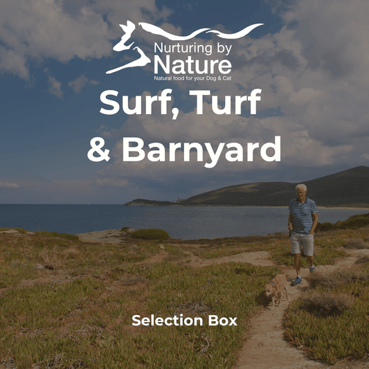 Surf, Turf & Barnyard - Variety Box