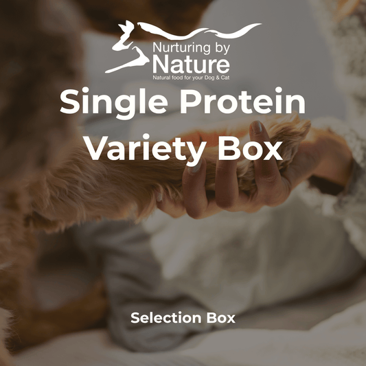 Single Protein - Variety Box