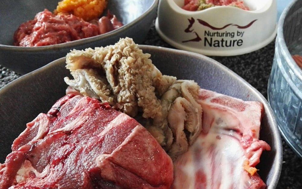 raw dog food in a bowl next to nurturing by nature bowl